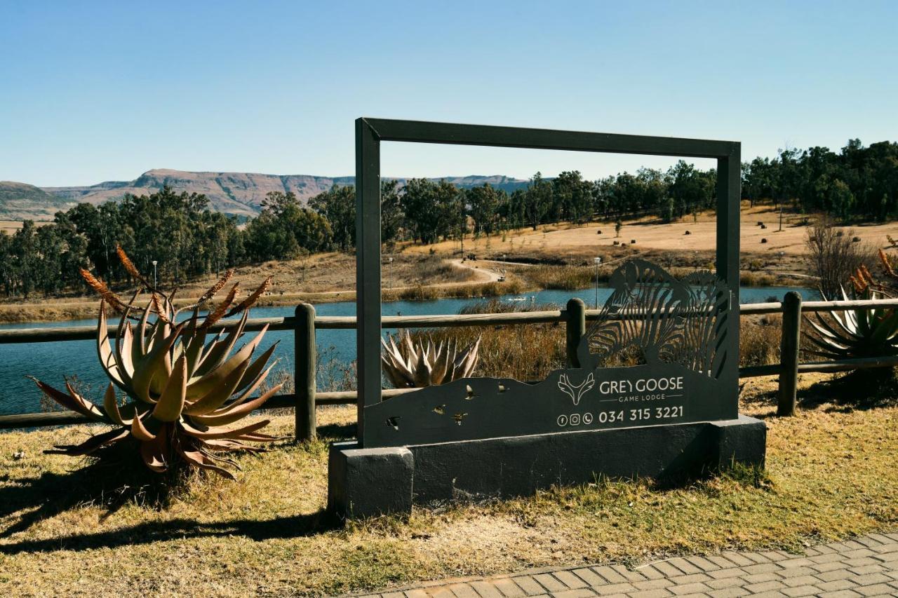 Grey Goose Game Lodge 뉴캐슬 외부 사진