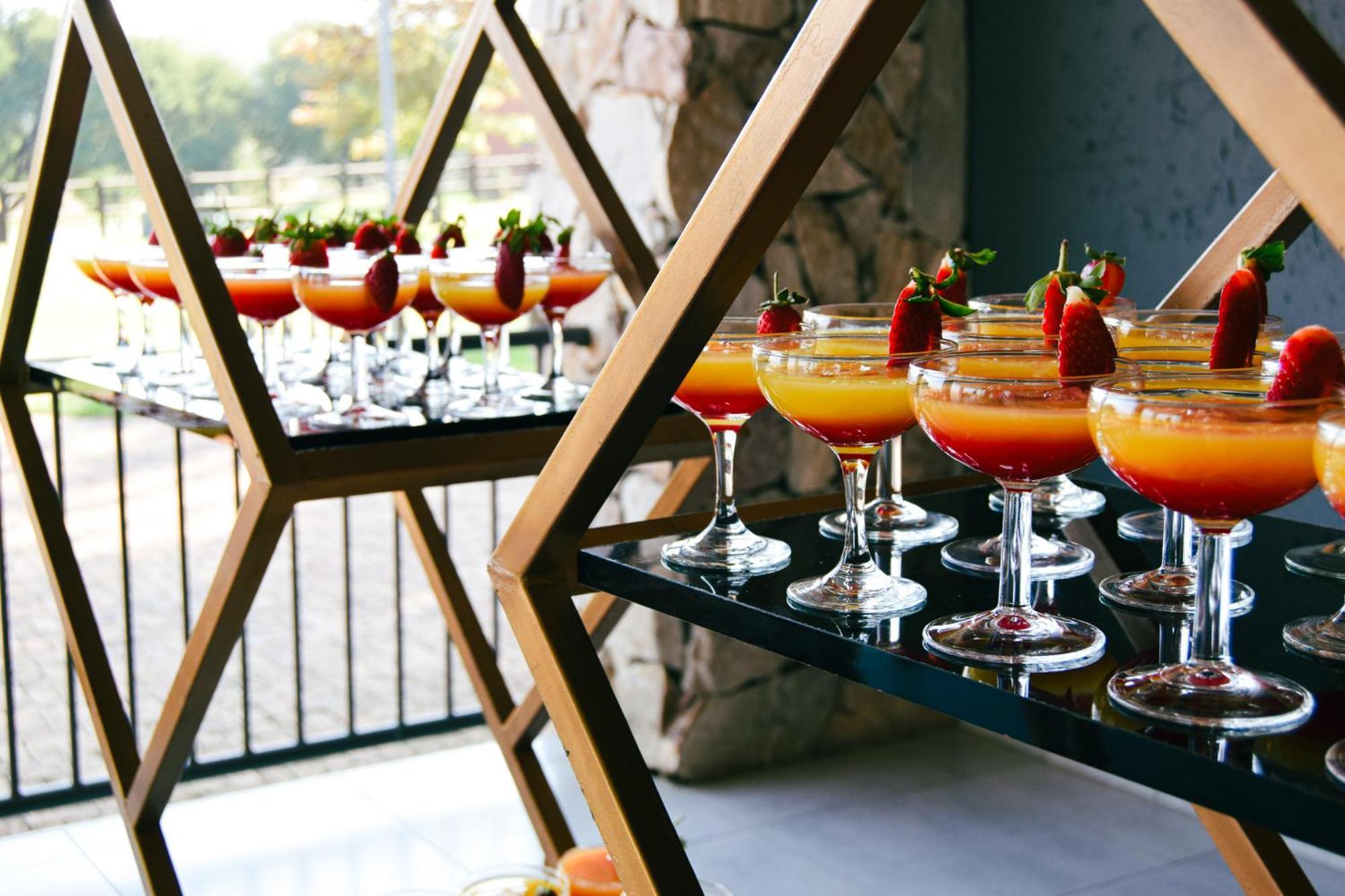 Grey Goose Game Lodge 뉴캐슬 외부 사진